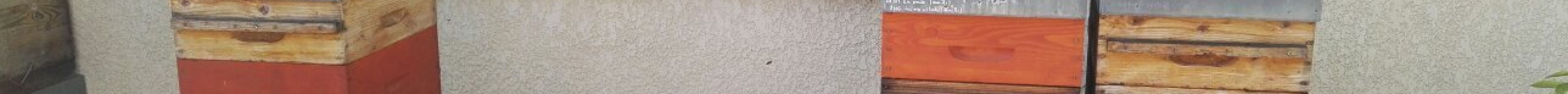 La Miellerie des Garrigues