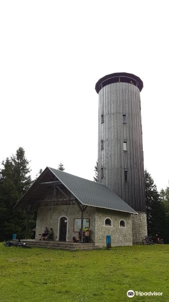 Borówkowa Góra