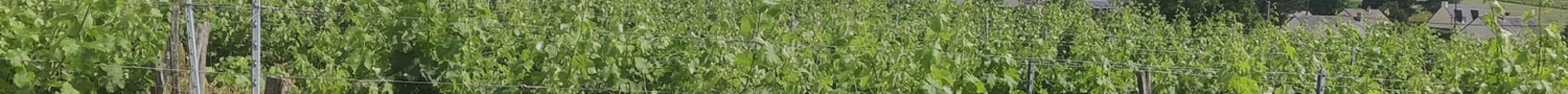 Azay le Rideau Cycles