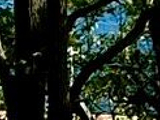 Old First Parish Burying Ground