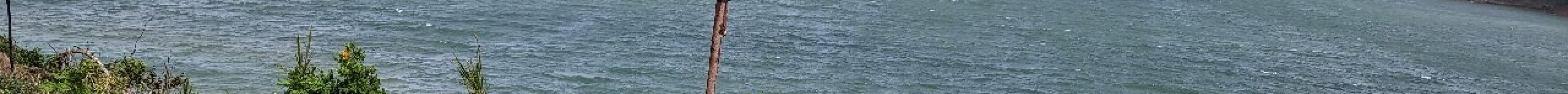 阿雷纳尔湖旅游景点图片