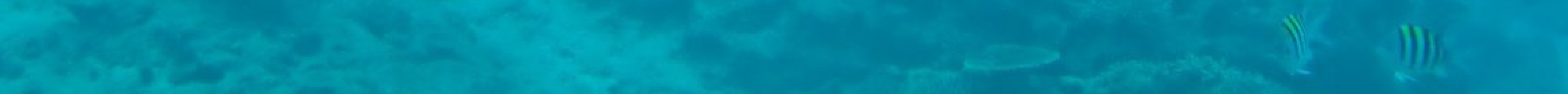 部濑名海中公园旅游景点图片