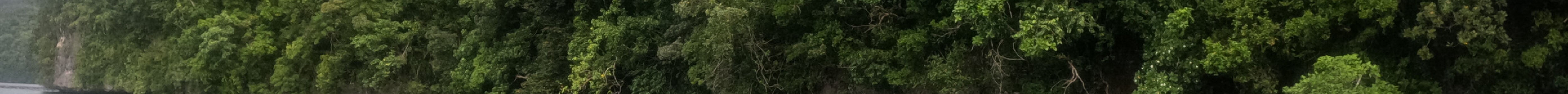 Palau Dive Adventures