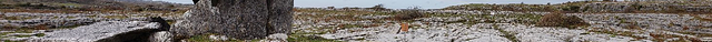 Poulnabrone Dolmen