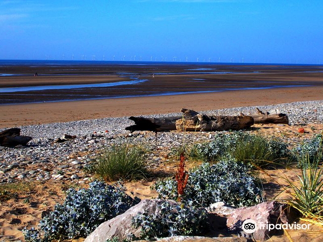 Kinmel Bay Beach (Sandy Cove)