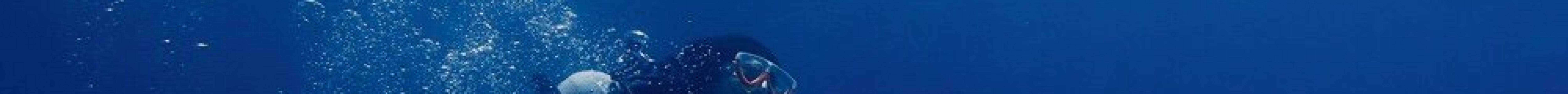 Yakushima Diving Guide Marine Club Kaiolohia