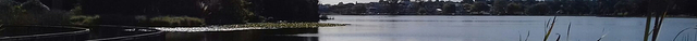 Hamilton Lake Domain