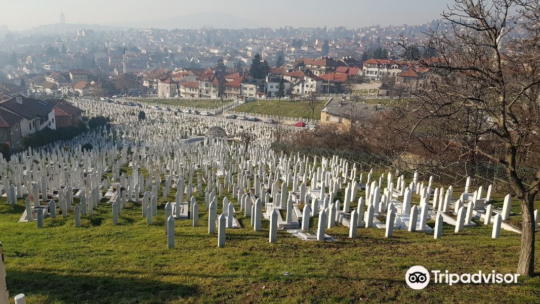 Alifakovac Cemetery旅游景点图片