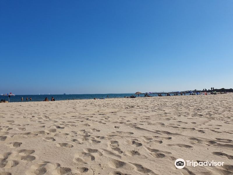 Playa de Pinedo旅游景点图片