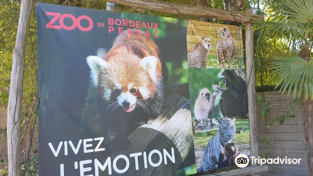 Zoo de Bordeaux Pessac旅游景点图片