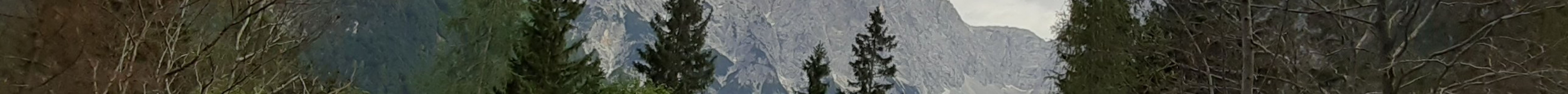 Kranjska Gora Bike Park