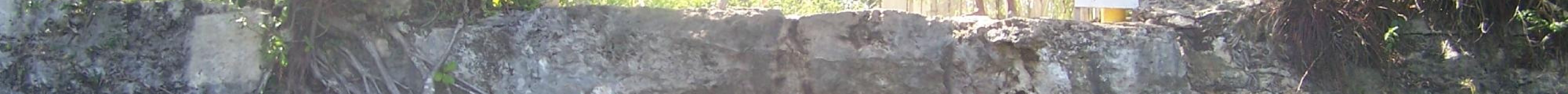 Cenote Cristalino旅游景点图片