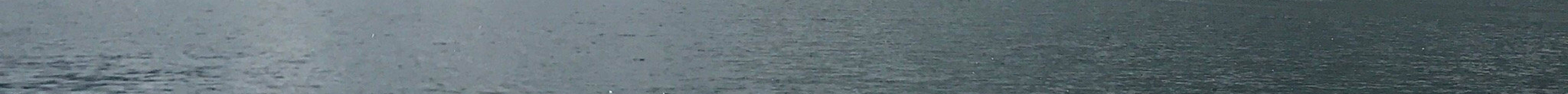 Nantahala Lake Marine