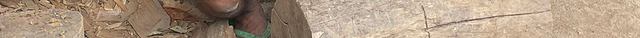 Long Neck Village