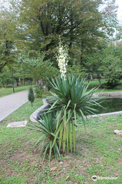 Zugdidi Botanical Garden旅游景点图片