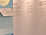 Cagsawa National Museum