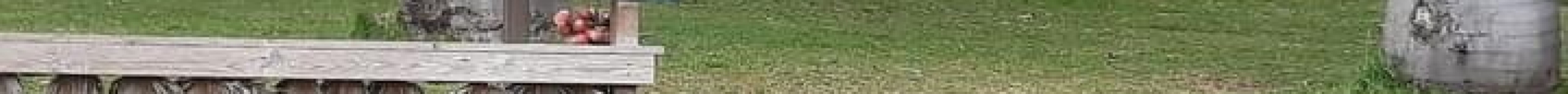 The House of Coco旅游景点图片