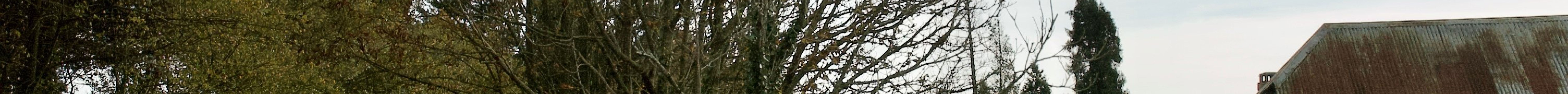 First Floor Gallery Picture Framing Studio