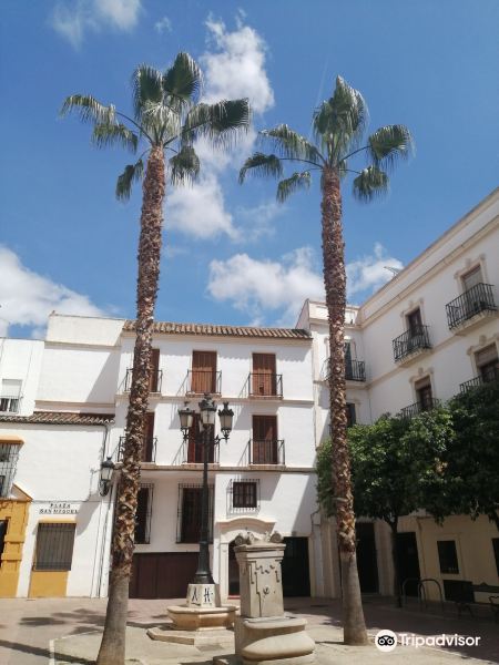 Plaza de San Miguel