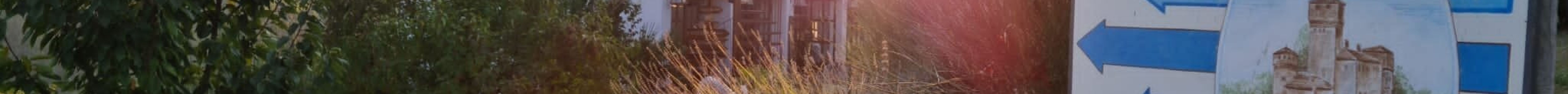 Azienda Agricola Molare's