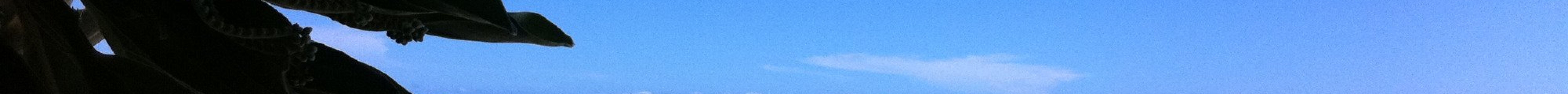 Plage de La Saline les Bains旅游景点图片