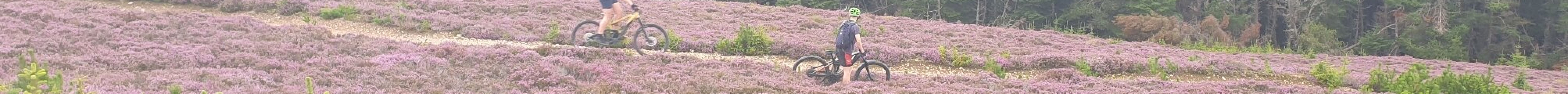 Bike Station Ballater