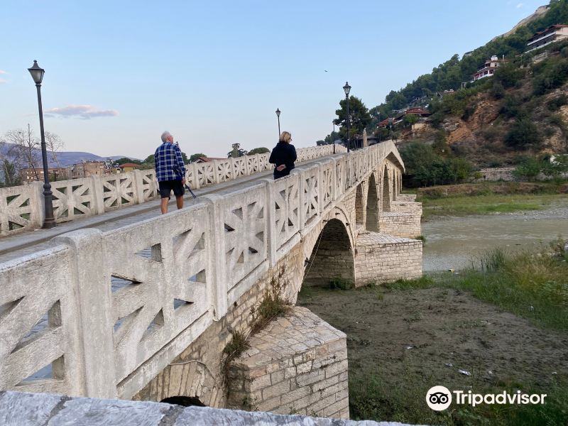 Gorica Bridge旅游景点图片