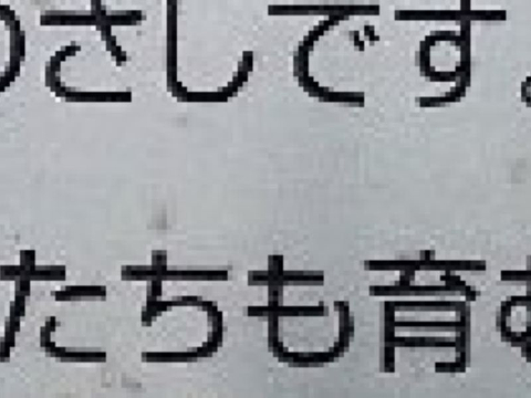 Higuma Monument的图片