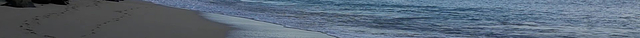 Rum Bus Beach