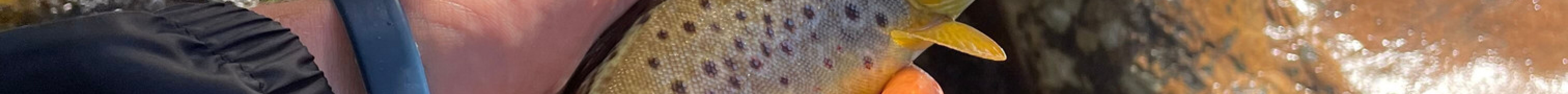 Rivers Edge Outfitters