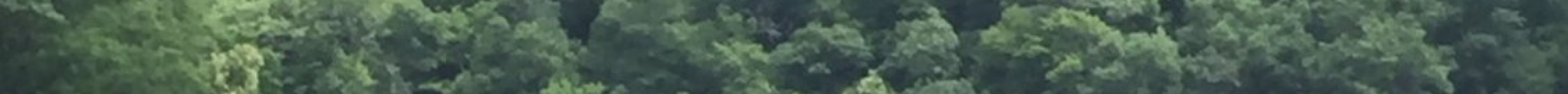 Nantahala Lake Marine