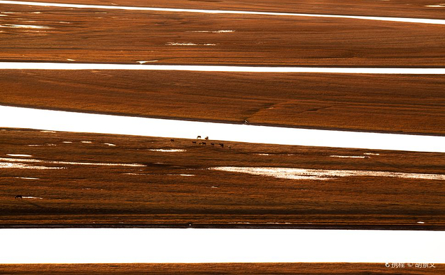 巴音布鲁克天鹅湖