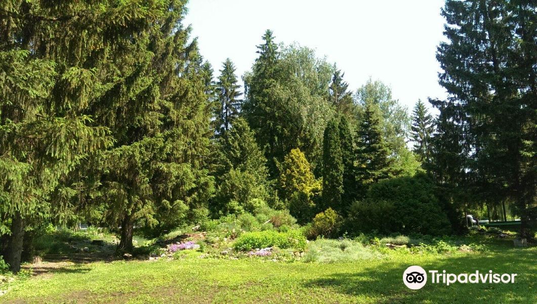 Ufa Botanical Garden旅游景点图片