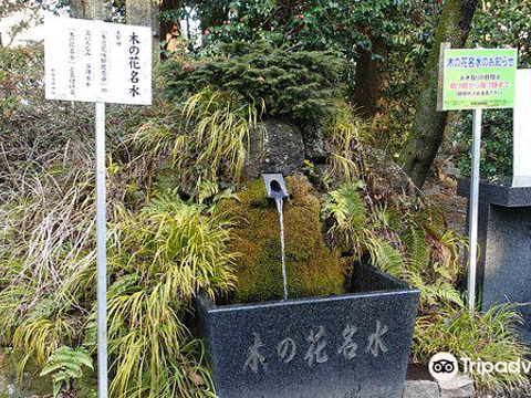 Sengen Shrine旅游景点图片