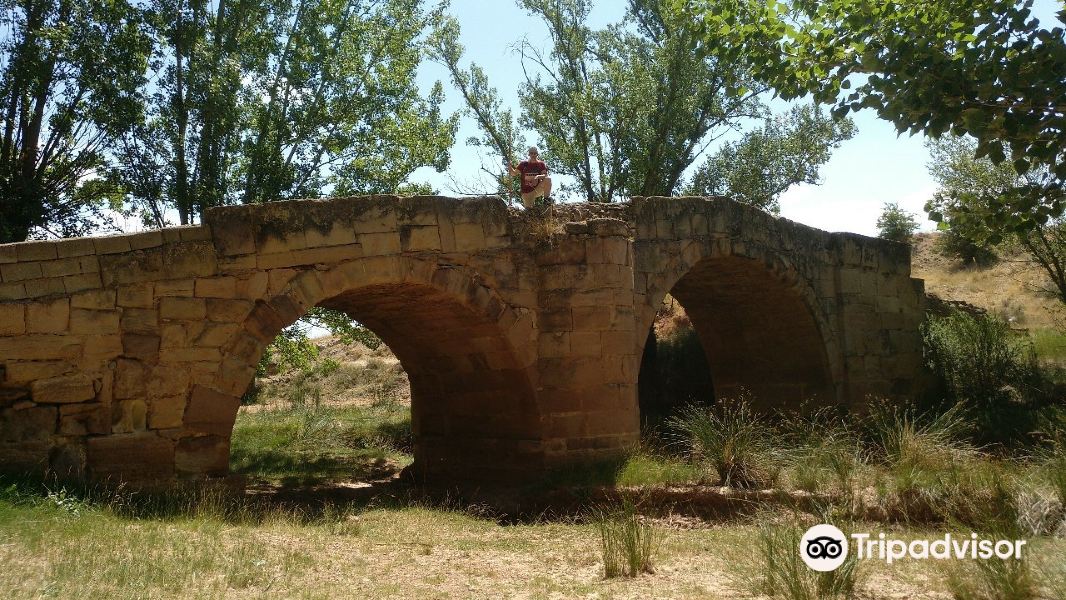 Puente de Galve旅游景点图片