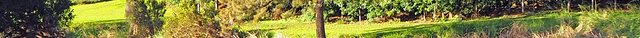 Bonadio's Mabi Wildlife Reserve