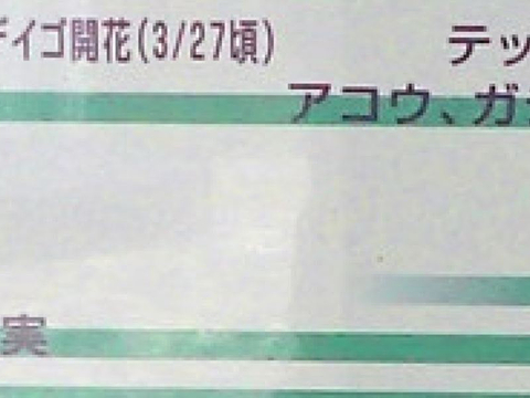Minami Daitojimason Visitor Center Shima Marugoto Museum的图片