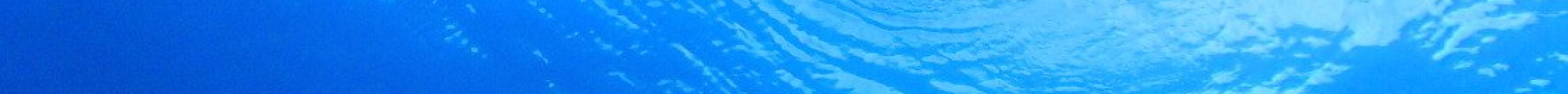 Scuba Diving Ever Blue Yakushima