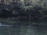 Cenote Jardín del Eden