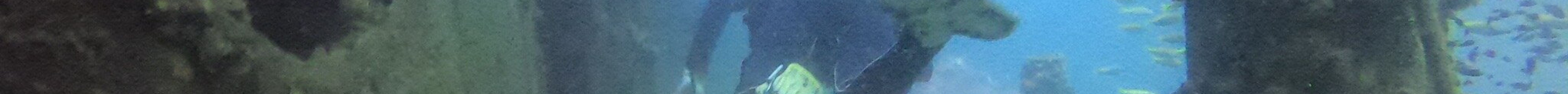 Koh Chang Divers