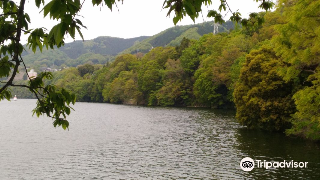 相模湖公园旅游景点图片