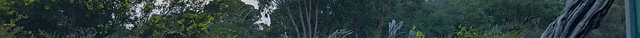 George Street Reserve