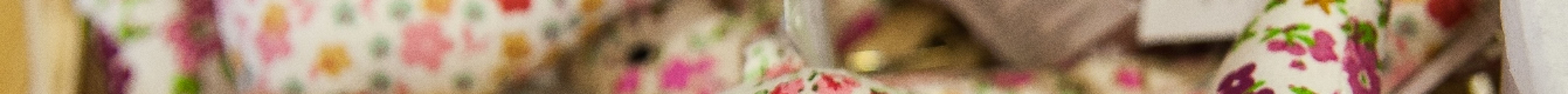 Crieff Visitor Centre