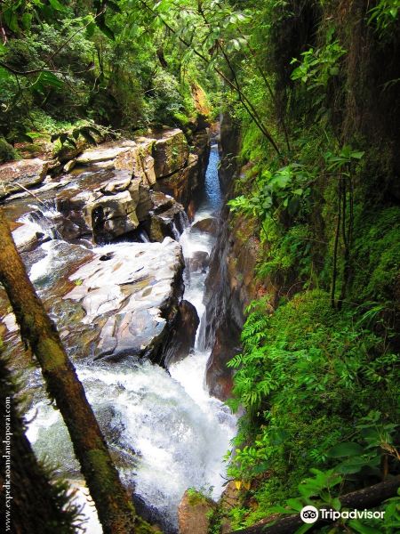 Raizama waterfall旅游景点图片