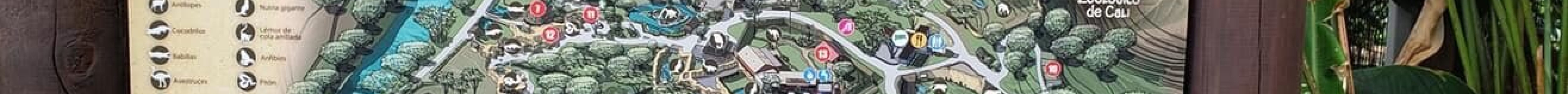 Zoologico de Cali旅游景点图片