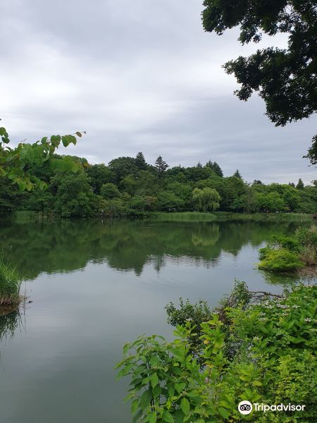 Inokashira Park旅游景点图片