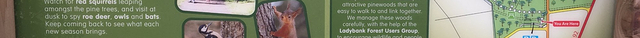 Ladybank Woods