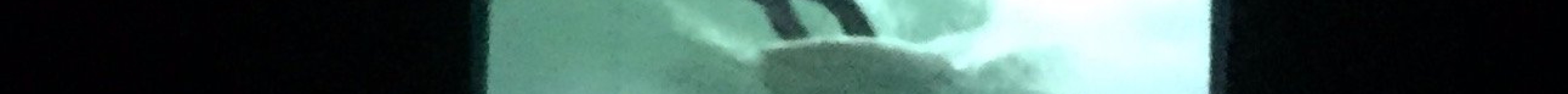 Shell Beach Surf Shop