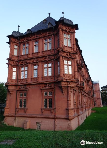 Romisch-Germanisches Zentralmuseum旅游景点图片