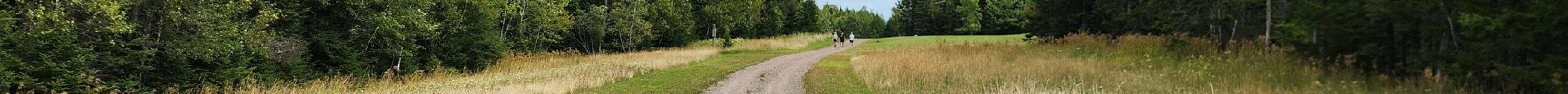 Victoria Park旅游景点图片